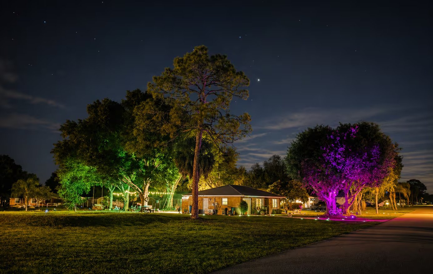 Lake Clay Dream Away — waterfront house at night with vibrant uplit trees and string lights under a starry sky